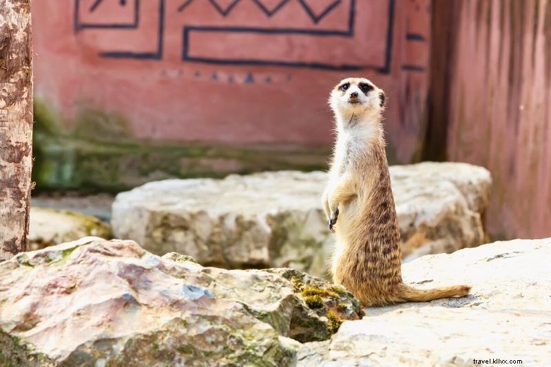 53 Best Things to Do in Brussels, Belgium: Ultimate Travel Guide