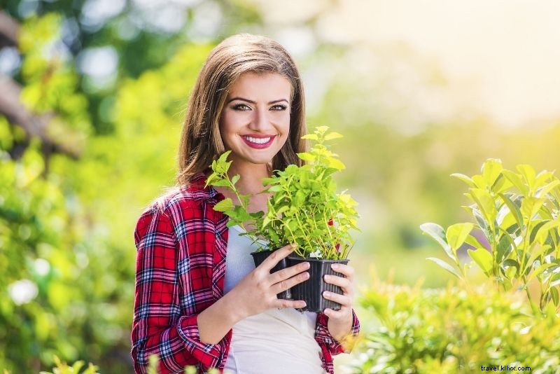 61 Best Things to Do in Brooklyn: Ultimate Guide to Top Attractions