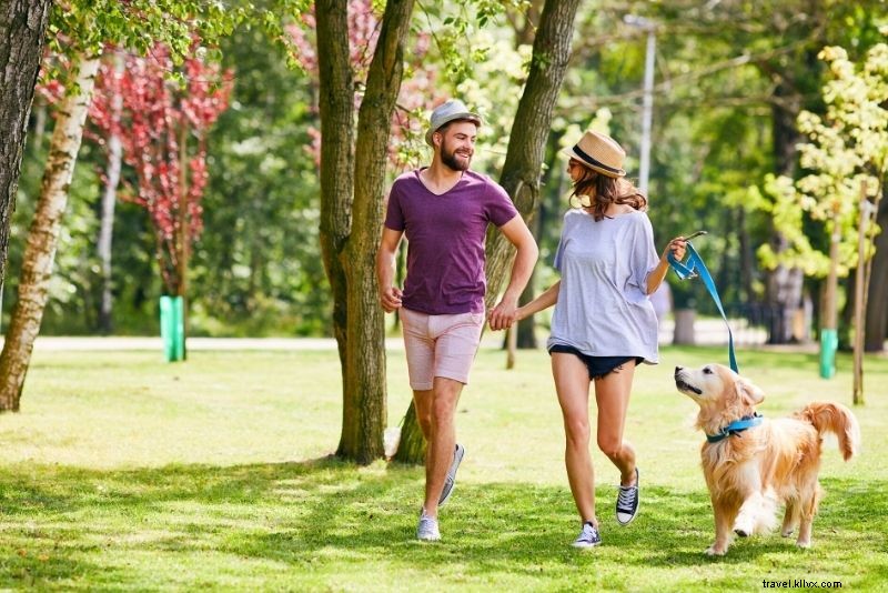 61 Best Things to Do in Brooklyn: Ultimate Guide to Top Attractions