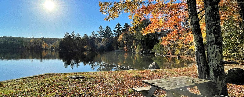 Discover 9 Stunning Spots for Fall Foliage in the Dartmouth-Lake Sunapee Region