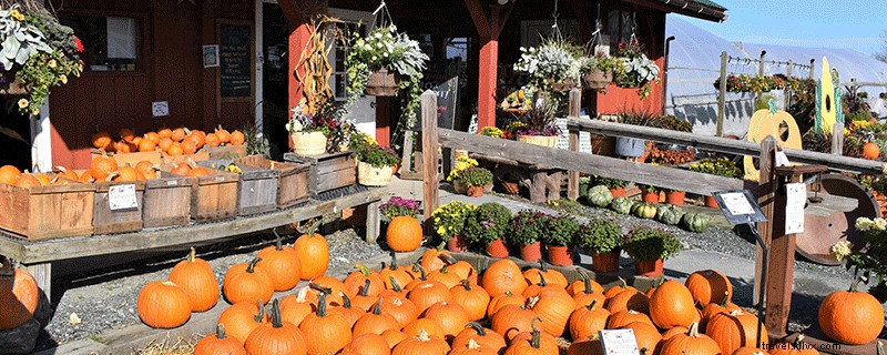 Discover 9 Stunning Spots for Fall Foliage in the Dartmouth-Lake Sunapee Region