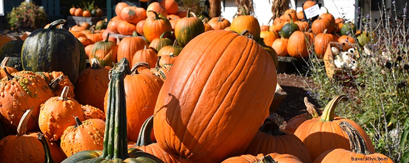 7 Must-See Stops for Stunning Fall Foliage in New Hampshire s Lakes Region