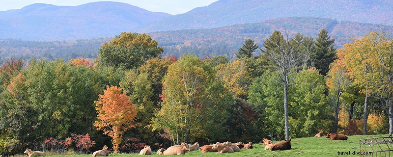 7 Must-See Stops for Stunning Fall Foliage in New Hampshire s Lakes Region