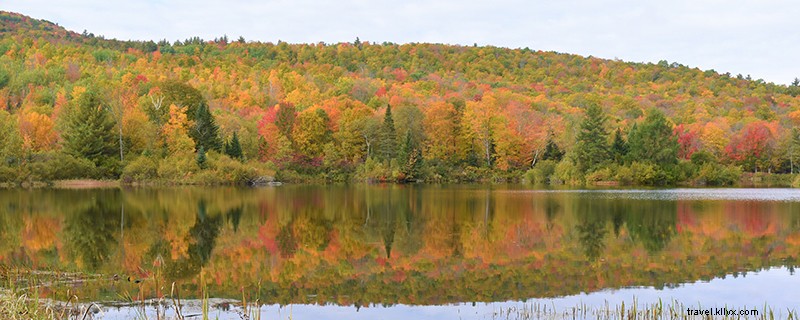 Top 10 Fall Foliage Stops in New Hampshire s Great North Woods & White Mountains