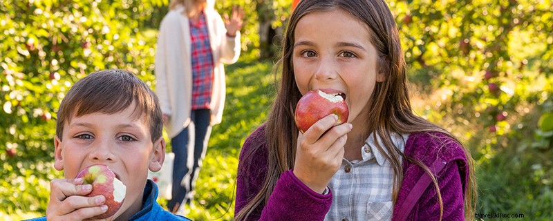 Discover 5 Iconic Fall Experiences in New Hampshire