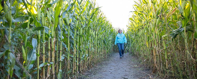 Discover 5 Iconic Fall Experiences in New Hampshire