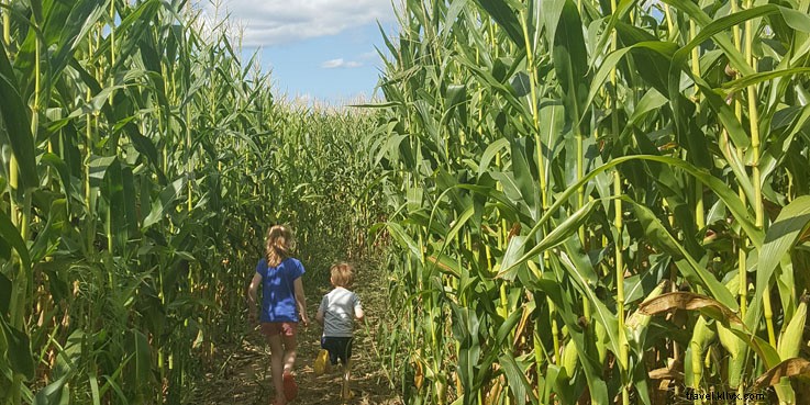 Discover New Hampshire s Best Corn Mazes This Autumn