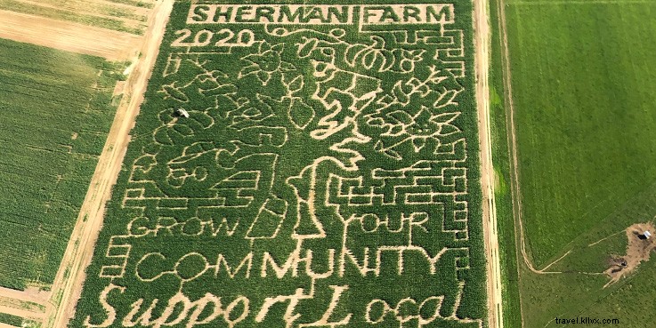 Discover New Hampshire s Best Corn Mazes This Autumn