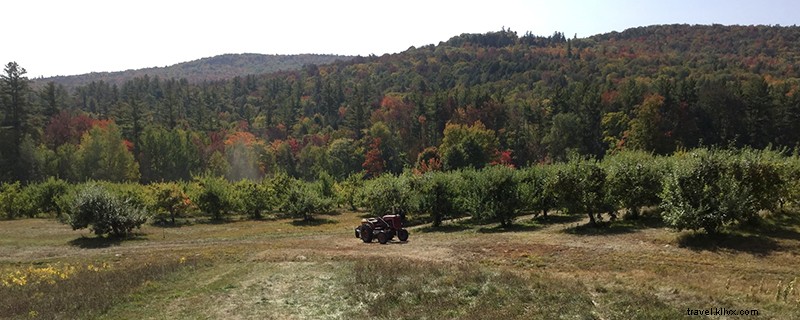 Ultimate Guide to Apple Picking in Northern New Hampshire
