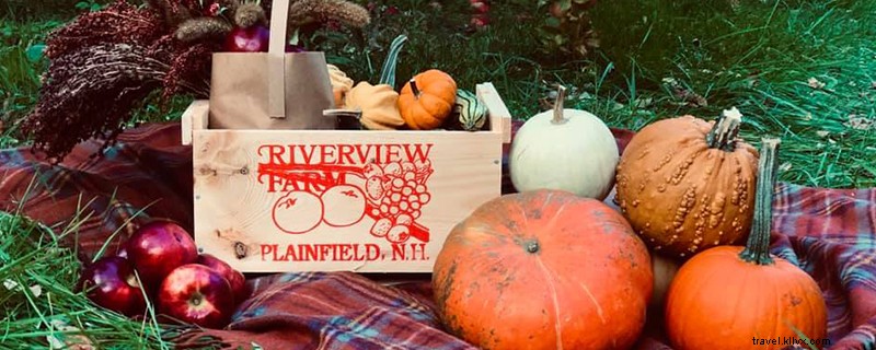 Ultimate Guide to Apple Picking in Northern New Hampshire