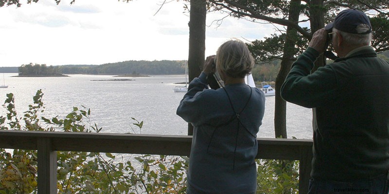 6 Wild Hikes in New Hampshire: Untamed Trails Through Biodiverse Wilderness