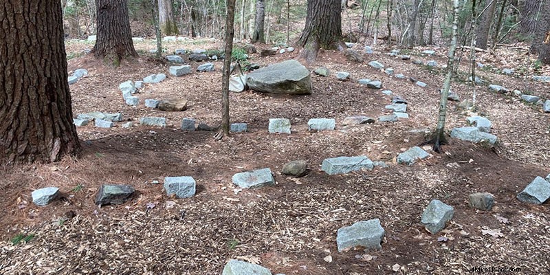 6 Wild Hikes in New Hampshire: Untamed Trails Through Biodiverse Wilderness