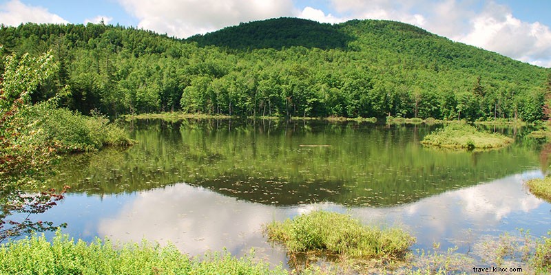 6 Wild Hikes in New Hampshire: Untamed Trails Through Biodiverse Wilderness