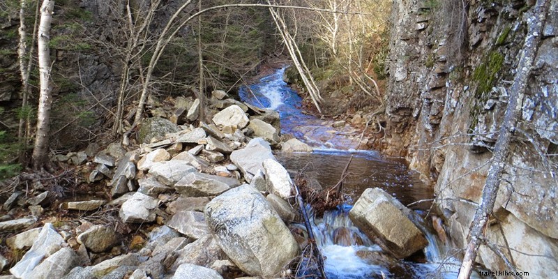 6 Wild Hikes in New Hampshire: Untamed Trails Through Biodiverse Wilderness