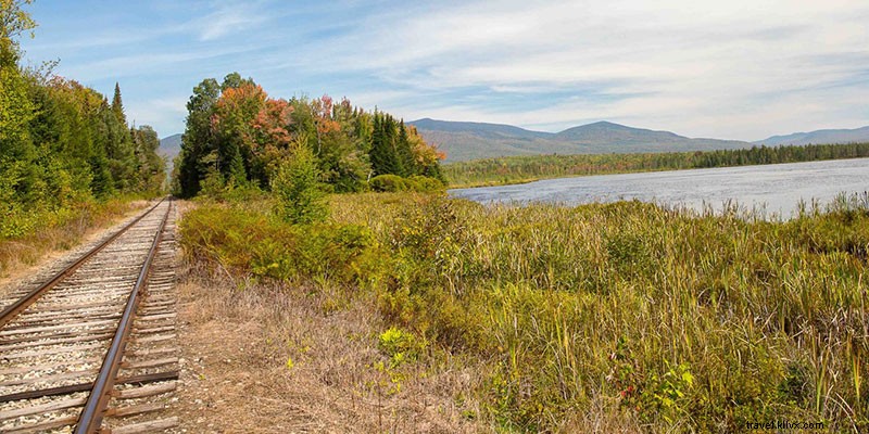 6 Wild Hikes in New Hampshire: Untamed Trails Through Biodiverse Wilderness