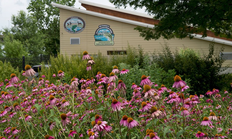 Discover Central Arkansas Nature Center: Urban Wildlife Haven Overlooking the Arkansas River
