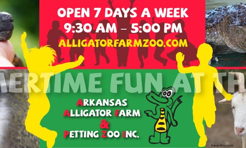 Arkansas Alligator Farm & Petting Zoo: Hands-On Wildlife Fun for the Whole Family