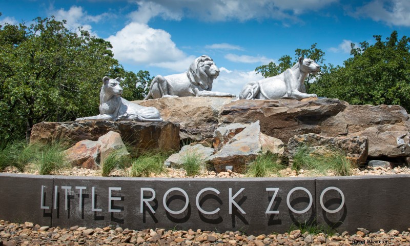Discover Little Rock Zoo: Arkansas  Premier AZA-Accredited Wildlife Adventure