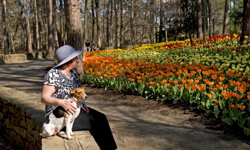 Garvan Woodland Gardens: Stunning Botanical Paradise in Arkansas  Ouachita Mountains