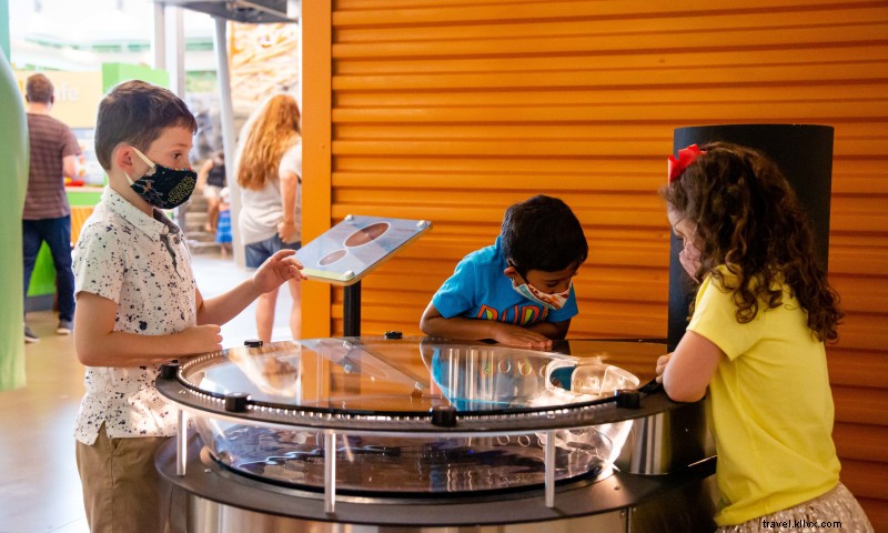 Scott Family Amazeum: Hands-On STEAM Learning for Families & Kids