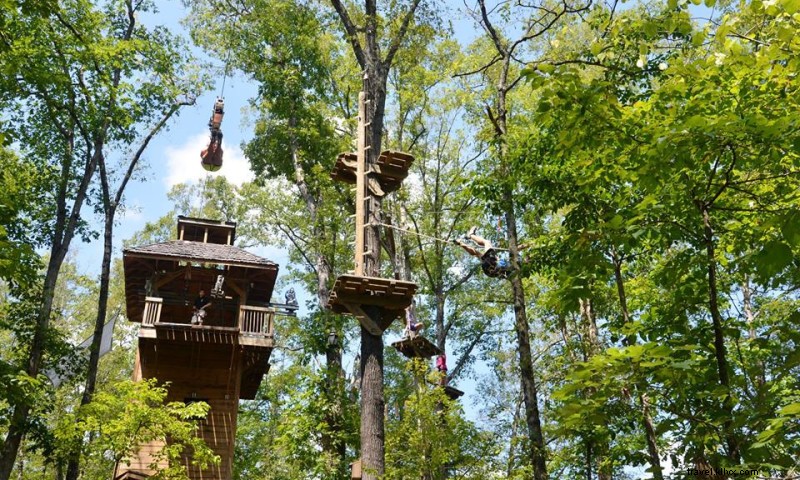 Thrilling Loco Ropes Treetop Adventure at Ozark Folk Center State Park