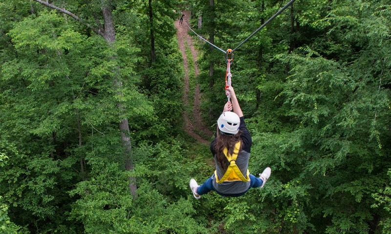 AdventureWorks Hot Springs: Thrilling Zip Lines & Sky Bridge at Catherine s Landing
