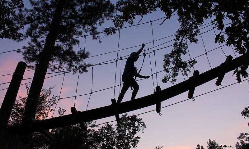 The Blue Zipline & Farm: Thrilling Canopy Tours & Sky Bridge Adventures