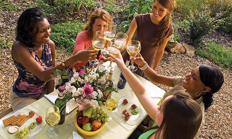 Château Aux Arc Vineyards & Winery: Arkansas Wine Country s Premier Destination