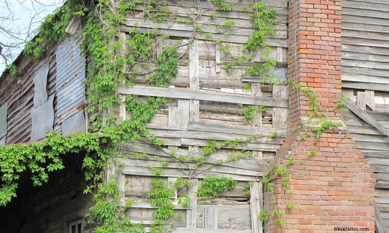 Taylor Log House and Site: Historic 1846 Cypress-Log Home on Hollywood Plantation
