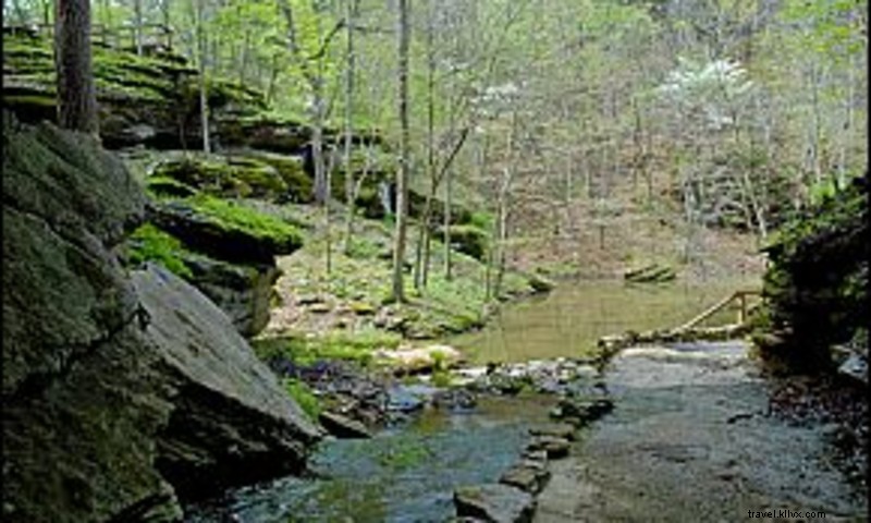 Discover War Eagle Cavern on Beaver Lake: Stunning Domes, Waterfalls & Easy Guided Tours