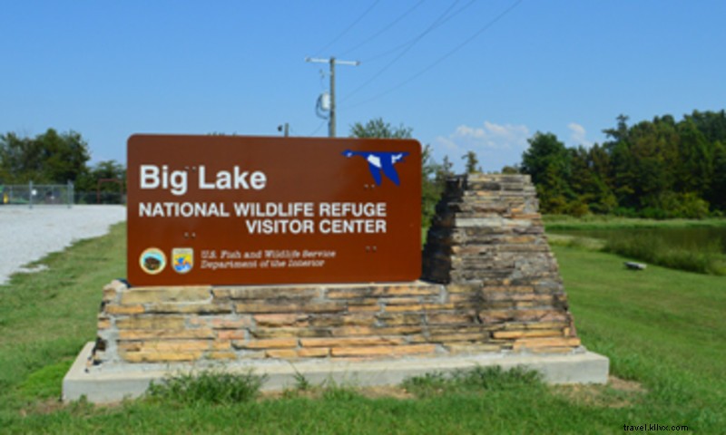 Discover Big Lake National Wildlife Refuge: Ancient Cypress Swamp & Waterfowl Paradise