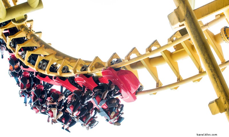 Magic Springs Theme & Water Park: 80+ Attractions, Roller Coasters & Family Fun in Arkansas