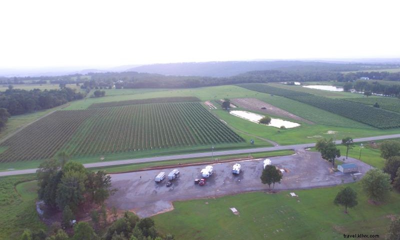 Dahlem Vineyard: Century-Old Family Tradition of Grape Growing in Altus, AR