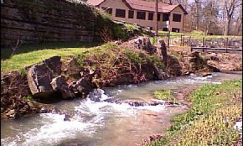 DeVito s Restaurant & Bear Creek Springs Trout Farm: Fresh Italian Cuisine & Trout Fishing