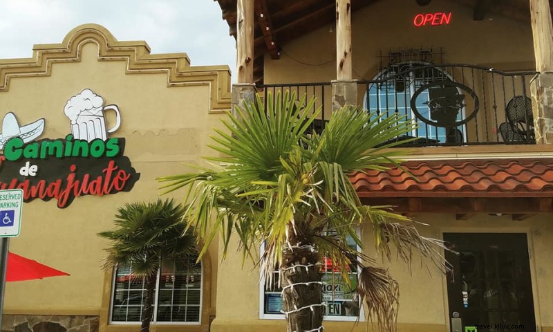 Caminos De Guanajuato: Authentic Mexican & Tex-Mex in Texarkana, AR