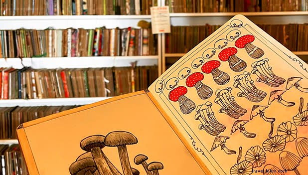 Ultimate 48-Hour Brooklyn Itinerary: Explore Diverse Neighborhoods & Culture