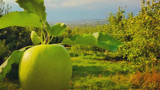 Top Must-See Attractions Within 1 Hour of New York City