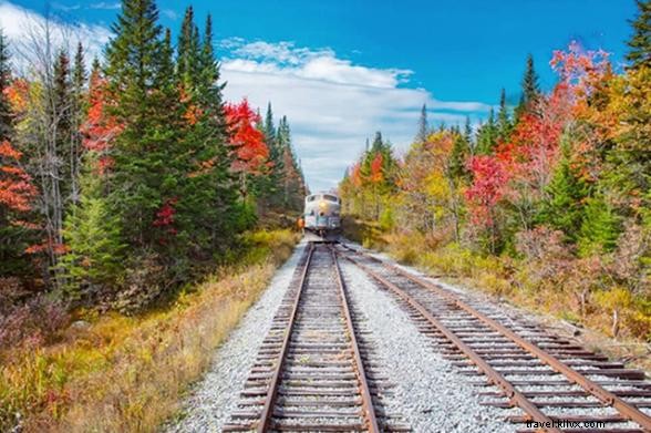 Discover Stunning Fall Foliage in New York State: Scenic Train Journeys from NYC to Niagara Falls