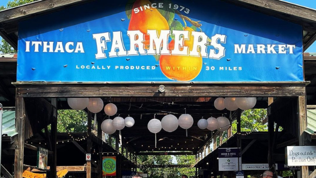 21 Must-Do Fall Activities in New York State: Parks, Apple Picking & Scenic Adventures