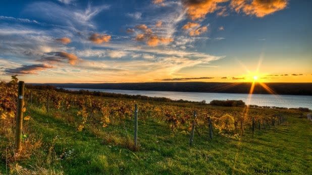 21 Must-Do Fall Activities in New York State: Parks, Apple Picking & Scenic Adventures