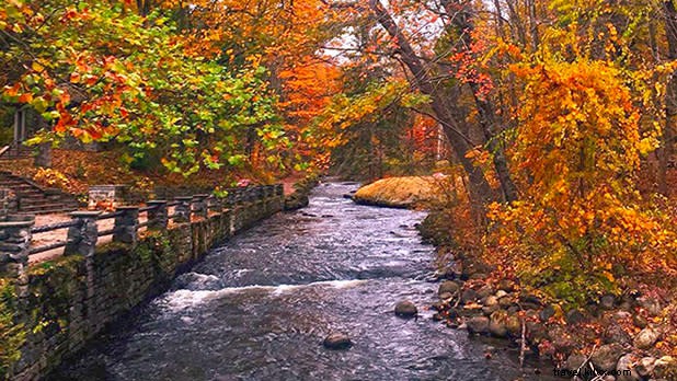 Ultimate Fall Friends  Getaway in New York State: Brews, Adventures & More