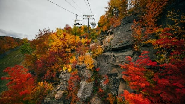 Ultimate Fall Friends  Getaway in New York State: Brews, Adventures & More