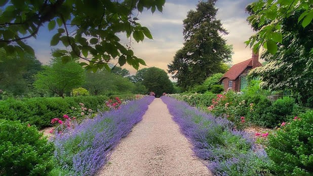 Top Outdoor Performances in New York State: Plan Your Summer Now