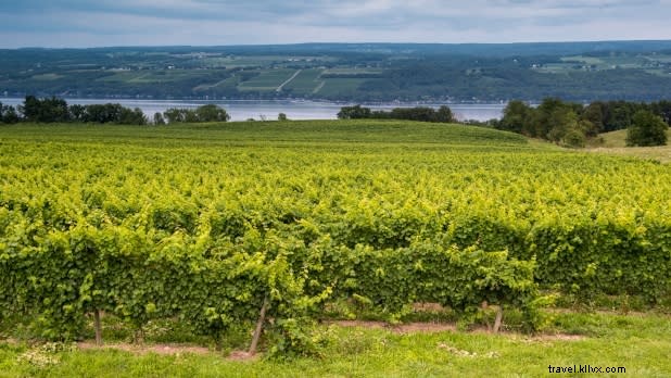 Ultimate Solo Travel Guide to New York State: Mountains, Wineries & Adventures