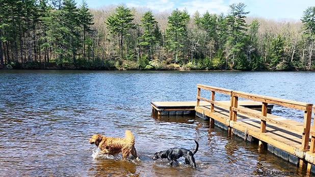 Top 12 Best Swimming Spots in New York State: Beaches, Lakes & Pools