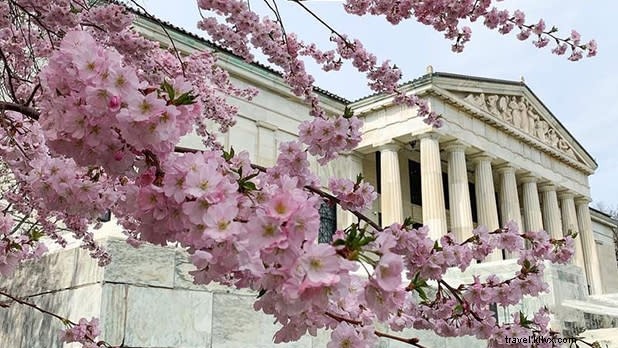 Celebrate Asian Pacific American Heritage Month: Top Experiences in New York State