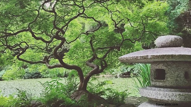 Celebrate Asian Pacific American Heritage Month: Top Experiences in New York State