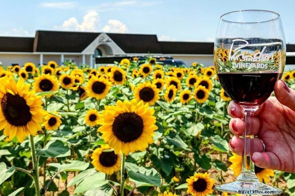 Discover 11 Vibrant and Colorful Destinations in New York State