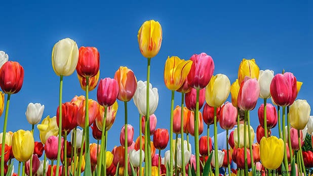 Discover 11 Vibrant and Colorful Destinations in New York State