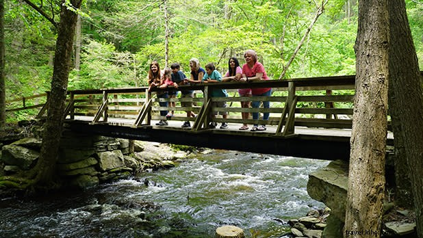 Best Spring & Summer Camping Spots in New York State – Book Now for Family Adventures